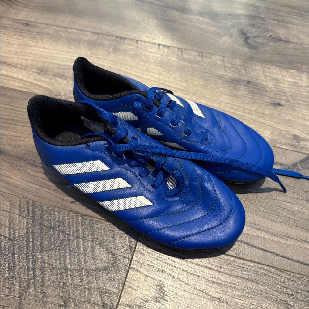 Adidas Blue and White Soccer Cleats